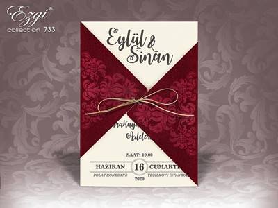 Ezgi Davetiye 733 